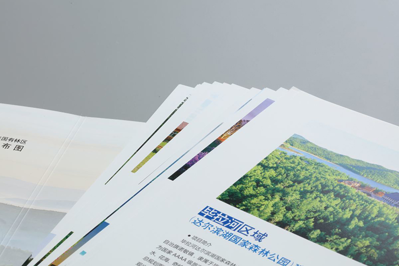 No.2 啞粉紙-1.jpg